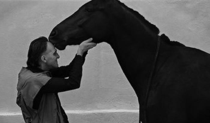 Cinema e cavalli: nell'arena la Saga di Giovanni Lindo Ferretti