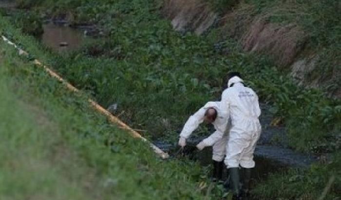 Corpo ritrovato nel sacco: al 95% si tratta di Irene Focardi