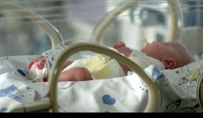 01187E-neonato-abbandonato-e-salvato-in-provincia-di-milano Neonato abbandonato e salvato in provincia di Milano