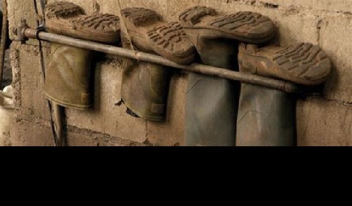 01190E-NEWS_145728 I braccianti stranieri, in regola col permesso, ma ancora senza diritti