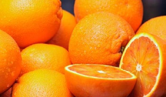Energia dalle arance: il progetto ecosostenibile nato in Sicilia