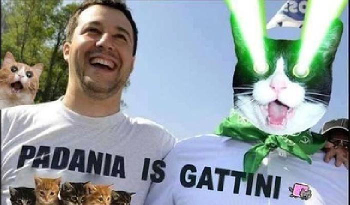 Pagina facebook di Salvini invasa da foto di gattini