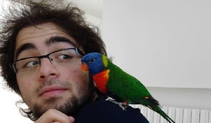 011F7C-domenico-maurantonio Domenico Maurantonio