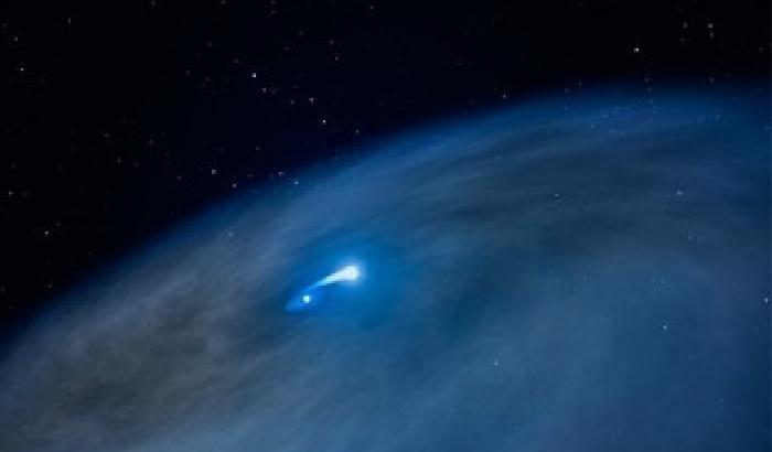 Una stella più unica che rara