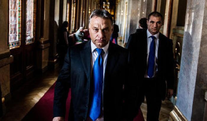 01254D-NEWS_151902 L'Ungheria tira su un muro contro i migranti