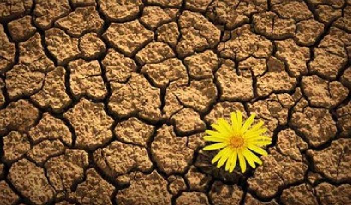 La resilienza: parola di sopravvivenza