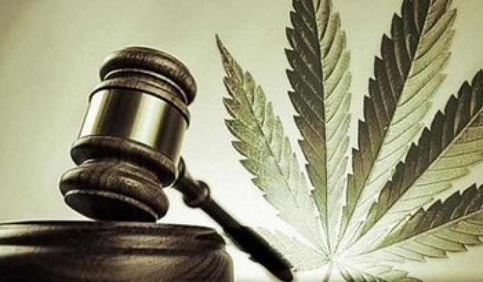 0129F0-NEWS_154409 Cannabis, 218 parlamentari per legalizzarla. È scontro