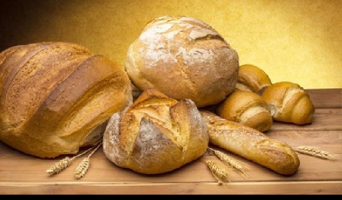Coldiretti: il 46% degli italiani mangia il pane avanzato