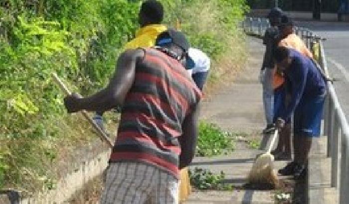 012D11-NEWS_156008 Nubifragio Firenze, i profughi aiutano il Comune a pulire le strade