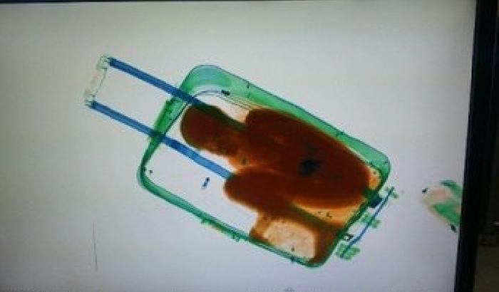 Clandestino tenta di entrare in Spagna chiuso in valigia: morto