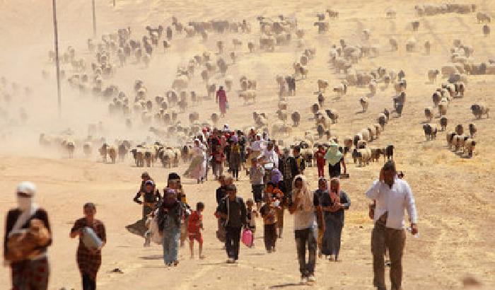 Come risolveresti l'emergenza dei rifugiati in fuga dalle guerre?