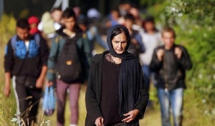 01337F-NEWS_159528 Rifugiati tra Serbia e Ungheria: assistiti solo da volontari locali