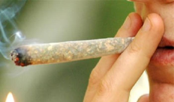 014A7D-NEWS_172211 Cannabis legale o no?