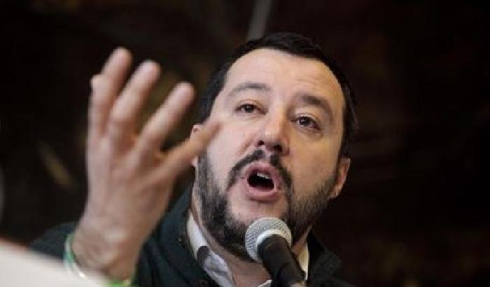 Salvini 