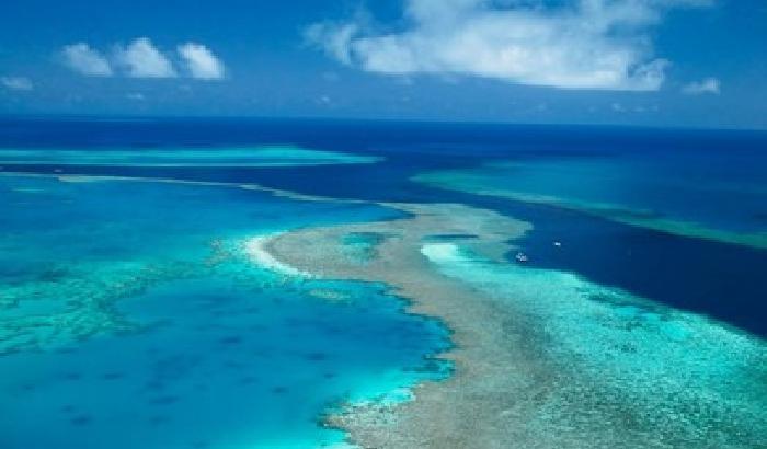 Barriera corallina in pericolo, Greenpeace: stop ai combustibili fossili