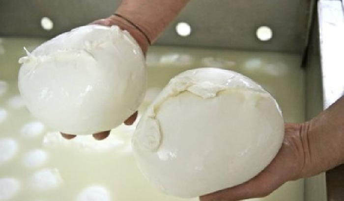 Mozzarelle in Crimea