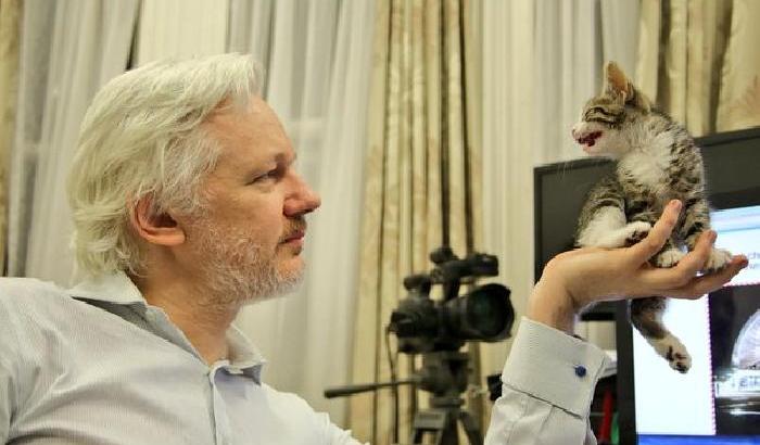Julian Assange con il suo nuovo amico, Embassy Cat