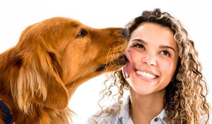 Attenti ai cani: le loro leccate provocano la setticemia