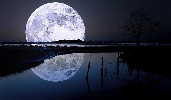 03323D-luna Luna