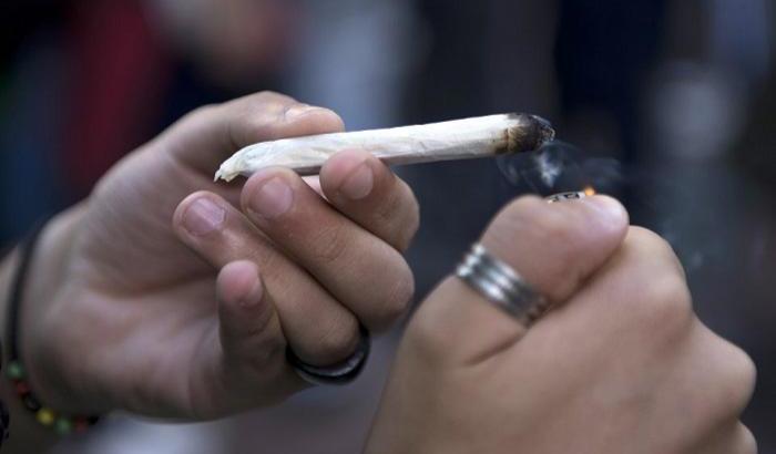 032EF4-cannabis Droghe leggere, il no del Vaticano
