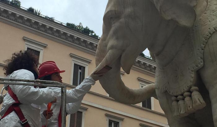 L'elefante ha di nuovo la sua zanna: restaurata la statua del Bernini