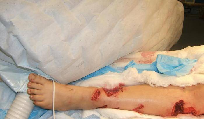 0342EF-una-vicenda-terribile-di-abusi Una vicenda terribile di abusi