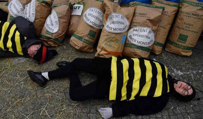 Berlino, la protesta delle api per dire no all'accordo Bayer-Monsanto