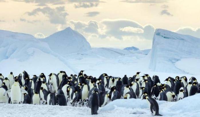 Arriva in sala il sequel del docufilm "La Marcia dei Pinguini" di Luc Jacquet