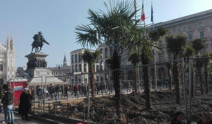 Bruciata una palma in Piazza Duomo a Milano: è caccia ai vandali