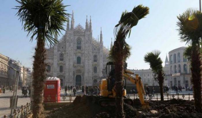 Palme incendiate al Duomo: una donna ha cercato di fermare il vandalo