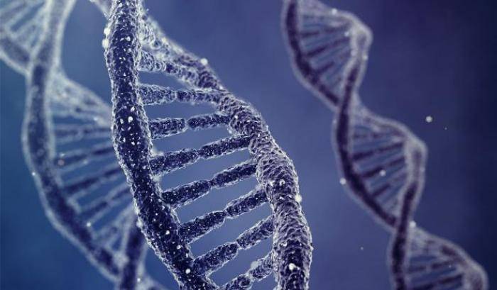 Le cause dei tumori? Conta più il Dna dello stile di vita