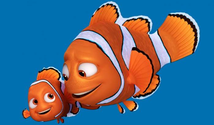 I pesci pagliaccio come il papà di Nemo: hanno un forte istinto paterno