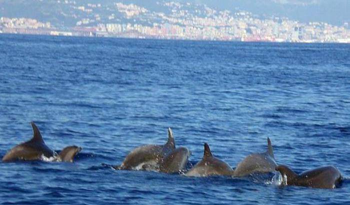 No alle bombe per trovare petrolio nel mare di Sardegna: fermata la multinazionale norvegese