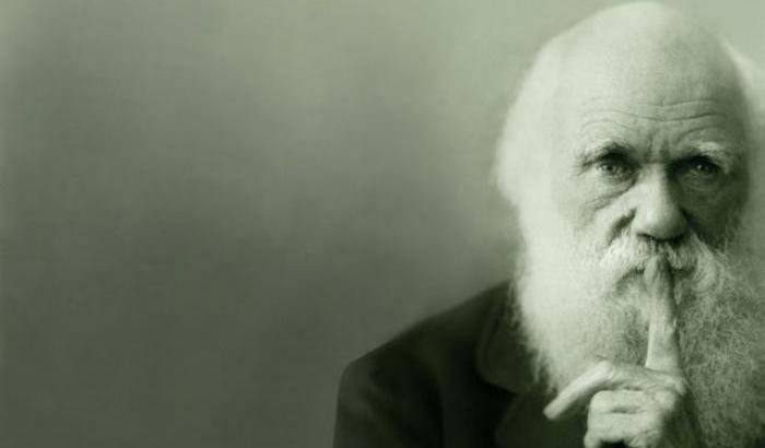 Ciao Darwin: la teoria dell'evoluzionismo esclusa dalle scuole turche