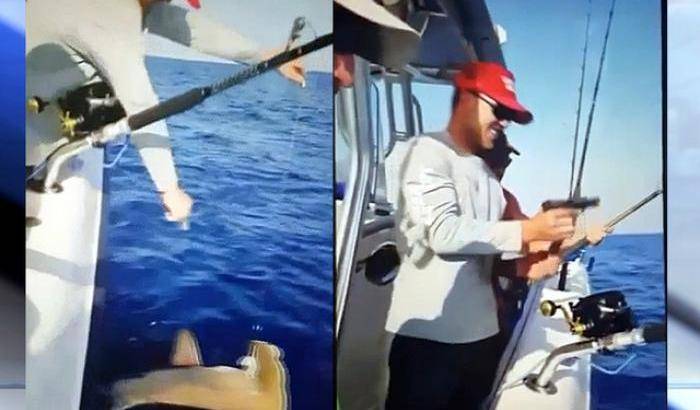 Sparano contro uno squalo catturato e ne prolungano l'agonia: il video è diventato virale