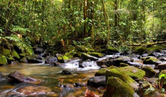 Miniere nella riserva dell'Amazzonia: un giudice blocca lo scempio di Temer