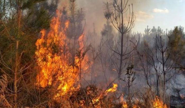 Il monte Morrone brucia da 13 giorni: muore il bosco del Parco della Majella e tutti zitti