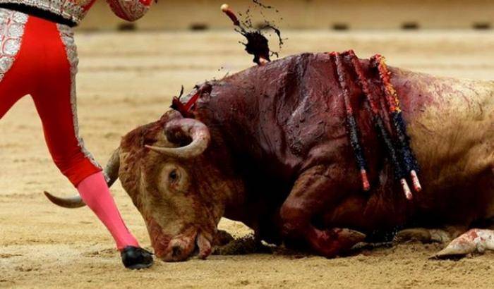 Paura, dolore e morte: la corrida dalla prospettiva del toro