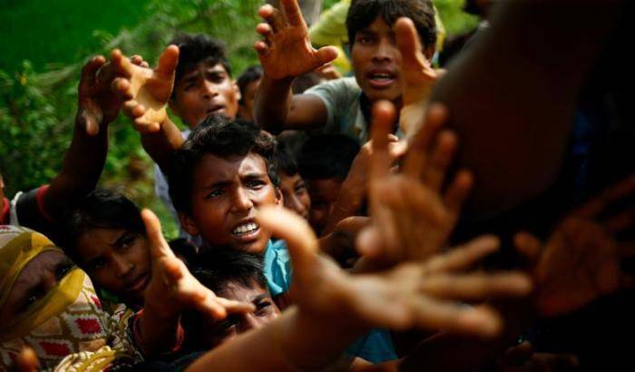 Rohingya