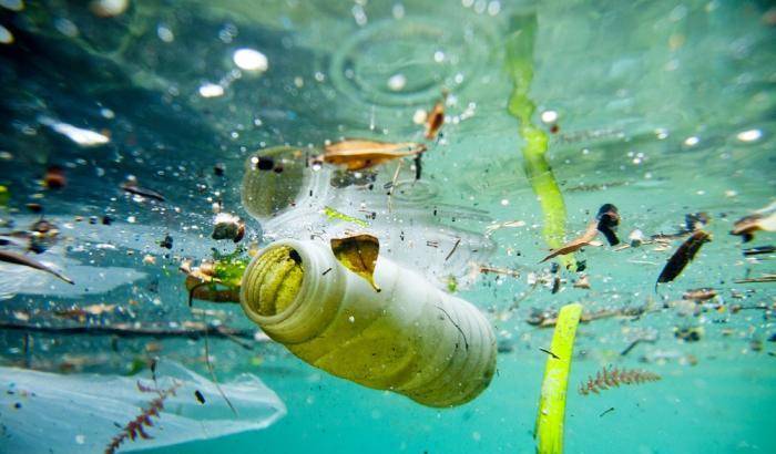 Tutta l'acqua del mondo contiene plastica: la ricerca fa scattare l'allarme