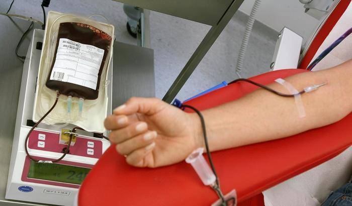 Chikungunya,  Roma trema. Stop alle donazioni di sangue nella Asl 2