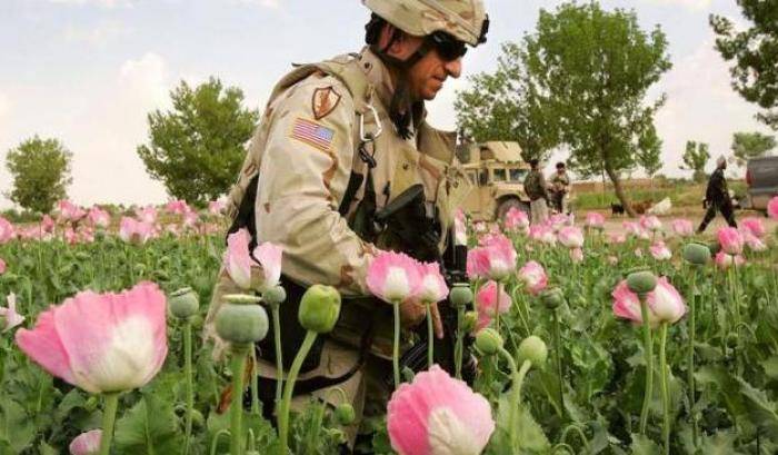 Afghanistan, nessuna crisi per l'oppio: produzione record