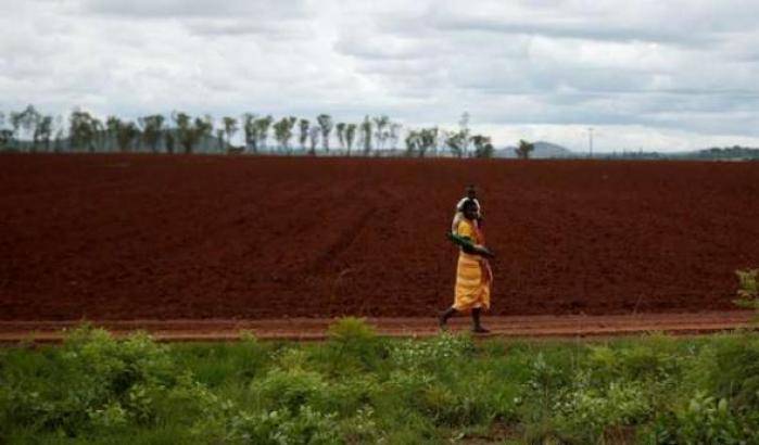 Zimbabwe: restituite agli agricoltori bianchi le fattorie occupate illegalmente dai neri