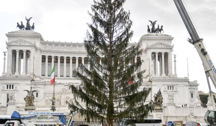 Spelacchio, l'abete natalizio triste di Roma