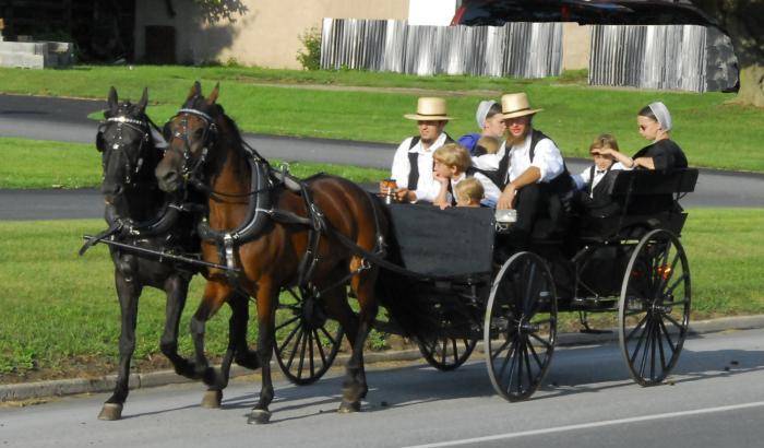 Paradossi made in Usa: specchietti, cinture di sicurezza e assicurazioni per i calessi degli Amish