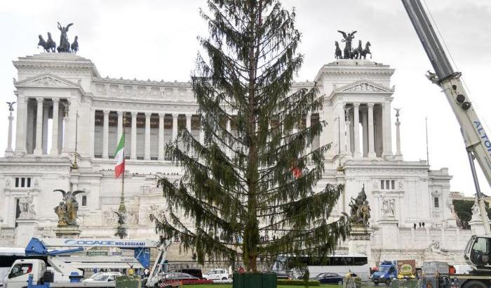 Spelacchio è morto: il Comune di Roma dà il 'triste annuncio'