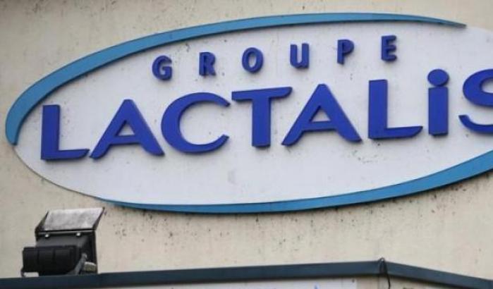 0004C93A-lactalis Lactalis