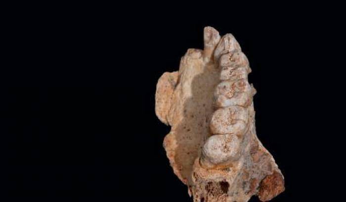 Scoperto in Israele l'Homo Sapiens più vecchio fuori dal continente africano