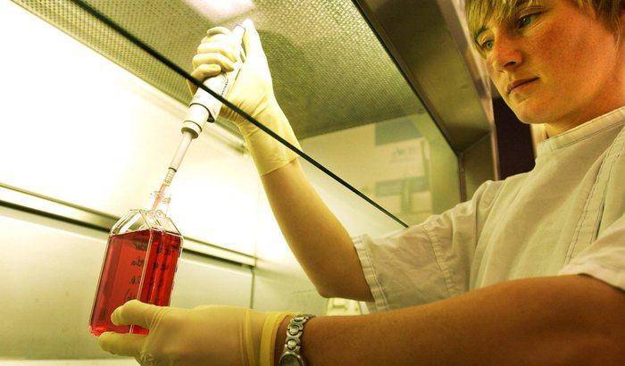 0004D190-creato-negli-usa-un-embrione-ibrido-pecora-uomo-per-il-trapianto-di-organi Creato negli Usa un embrione ibrido "pecora-uomo" per il trapianto di organi