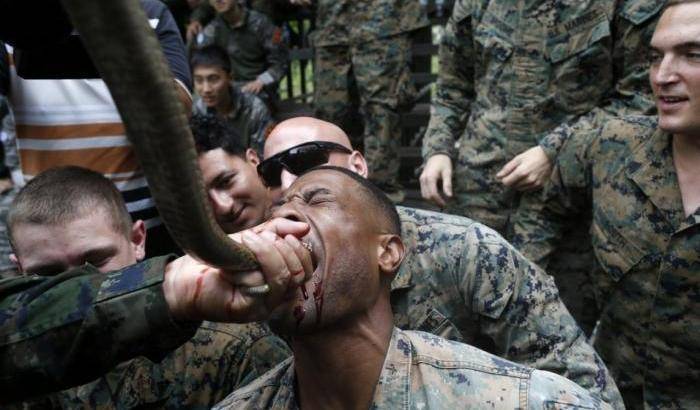 Bere il sangue di serpente e mangiare scimmie: le prove estreme dei soldati